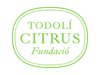 cliente-tcf