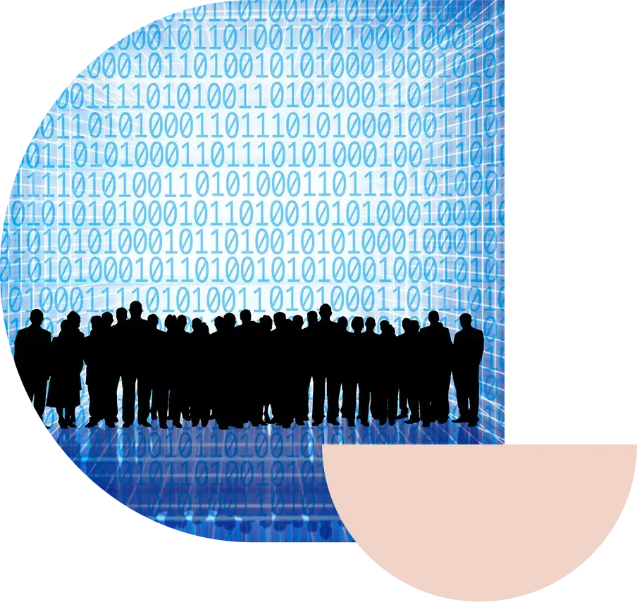 software
